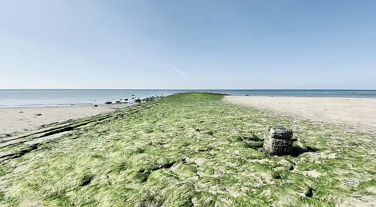 Sommerhus i Callantsoog