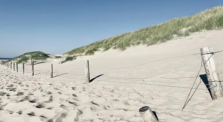 Sommerhus i Callantsoog