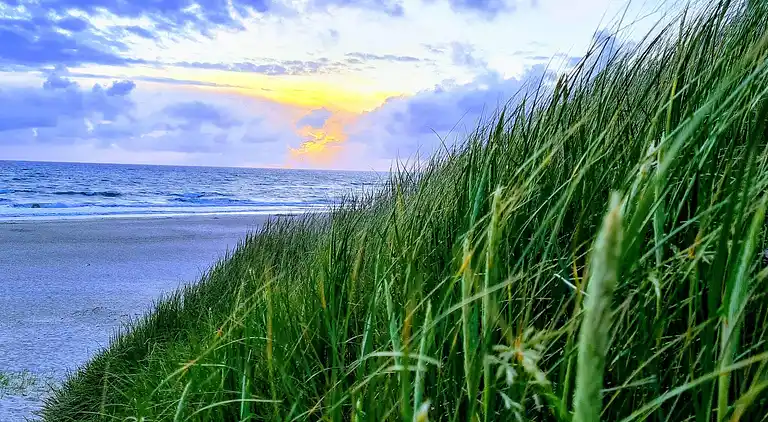 Sommerhus i Houstrup