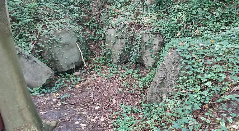 Ferienhaus in Branderup J