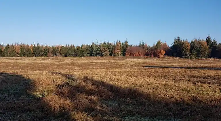 Ferienhaus in Branderup J
