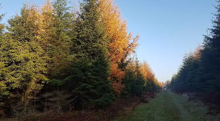 Ferienhaus in Branderup J