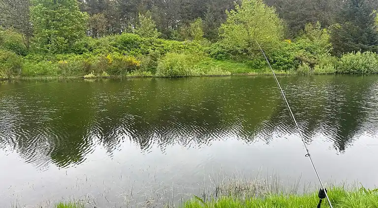 Ferienhaus in Branderup J