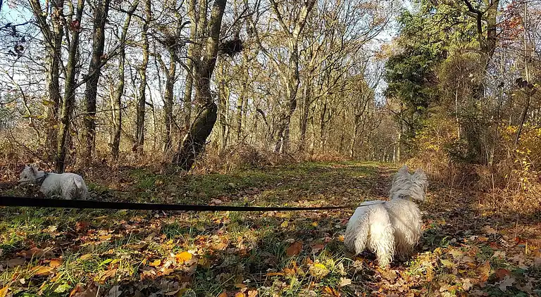 Ferienhaus in Branderup J