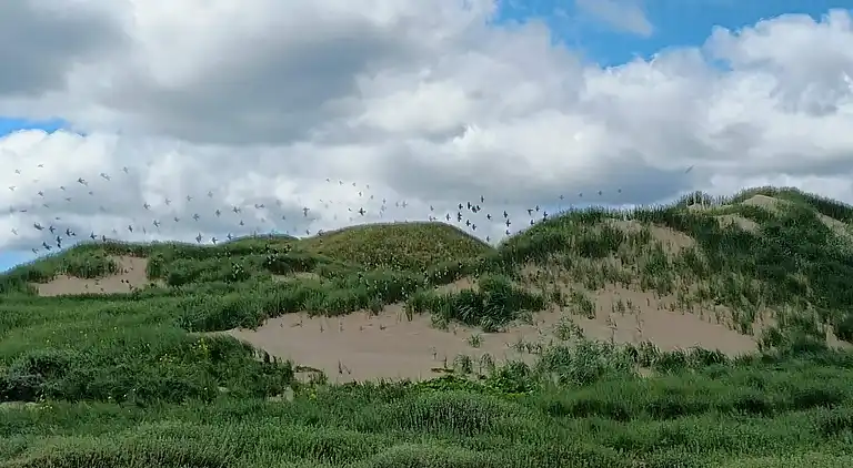 Holiday home in Nørre Fjand