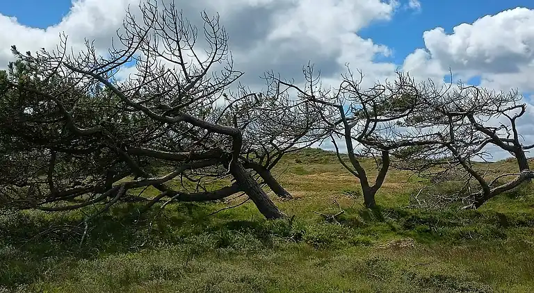 Holiday home in Nørre Fjand