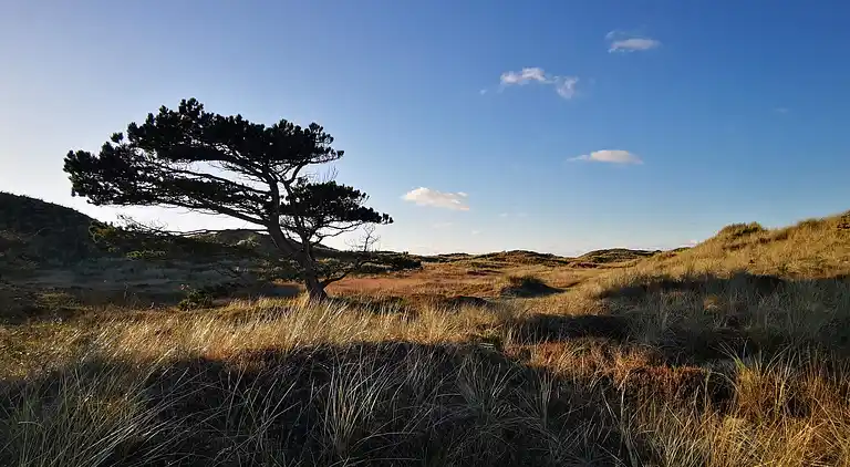Holiday home in Nørre Fjand
