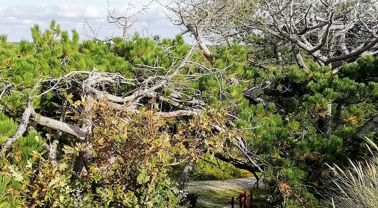 Holiday home in Nørre Fjand