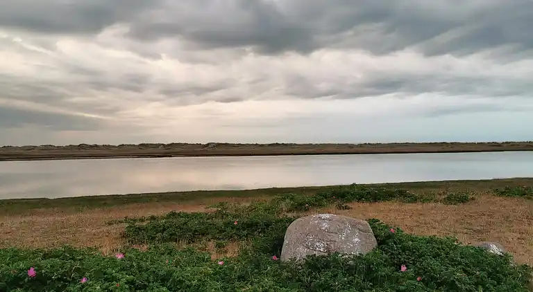 Vakantiehuis in Vesterø Havn