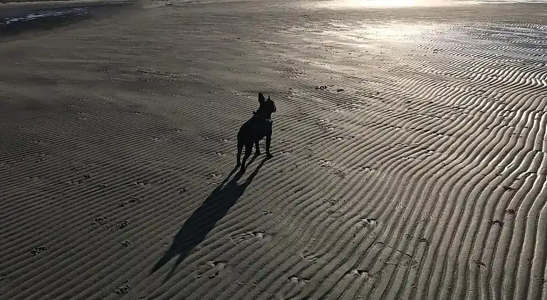 Sommerhus i Vesterø Havn