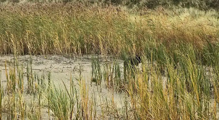 Sommerhus i Vesterø Havn