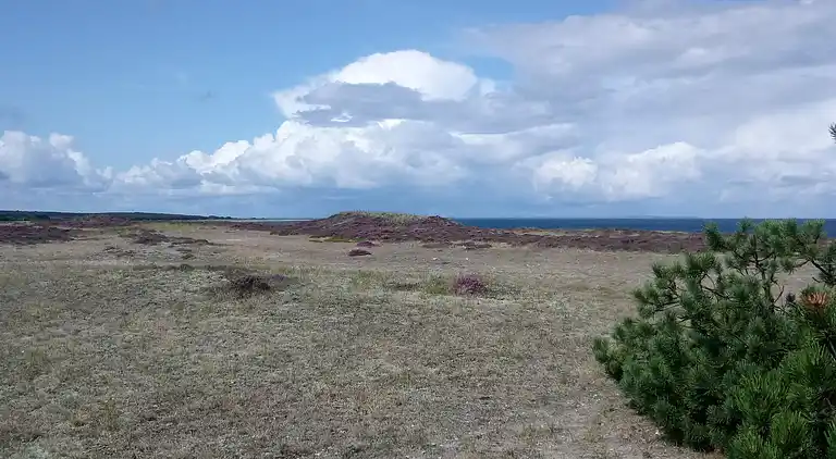 Sommerhus i Vesterø Havn