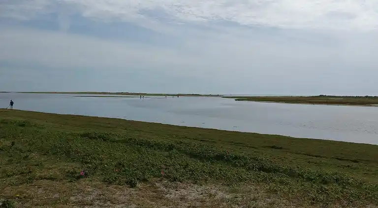 Sommerhus i Vesterø Havn