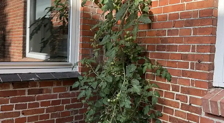 Der gemütlichste Bauernhofurlaub auf dem Land