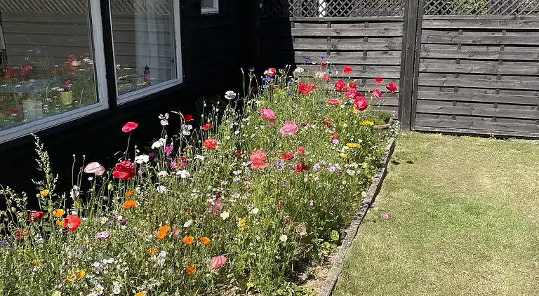  🌞 Attraktivt og lyst sommerhus i Hals