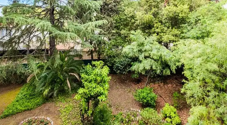 Apartment in Californie Pézou