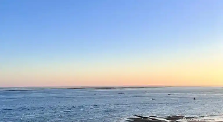 Apartment in Arcachon