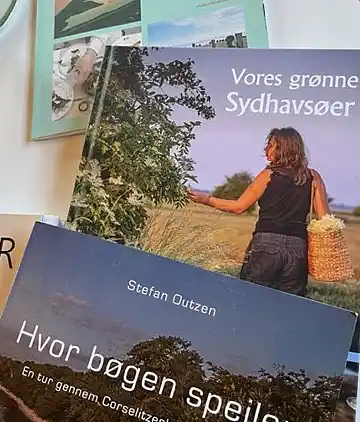 Ro og hygge i Gedesby strand med 800m til vandet