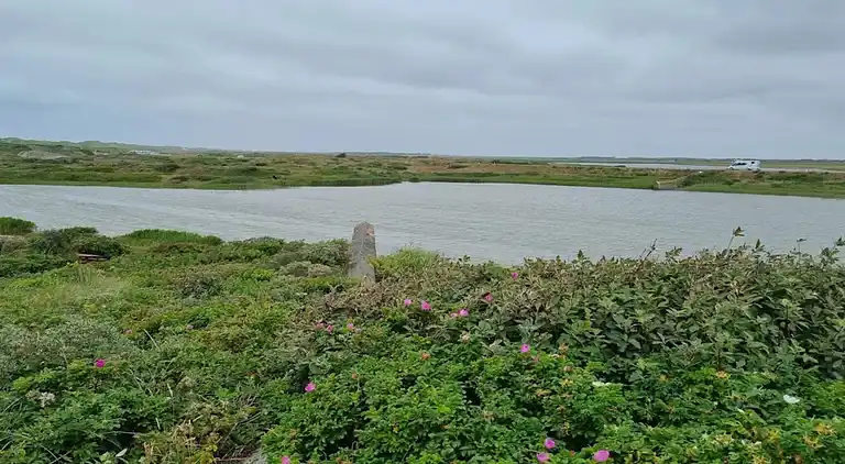 Sommerhus i Nørre Nebel