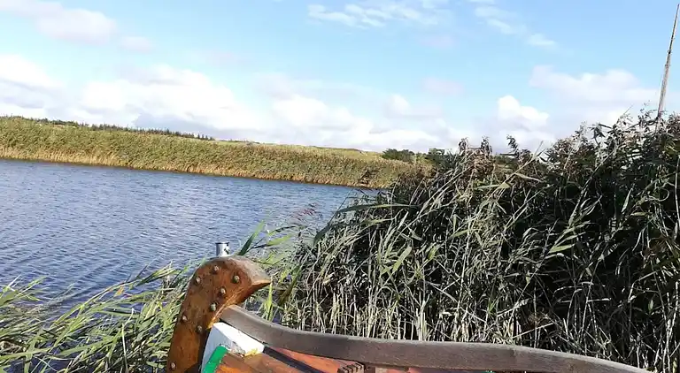 Sommerhus i Nørre Nebel