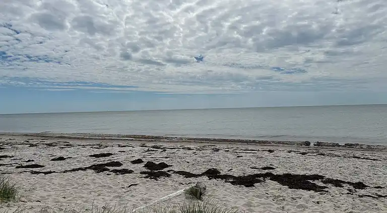 Holiday home in Ristinge