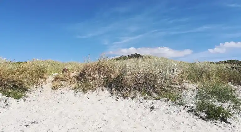 Holiday home in Ristinge