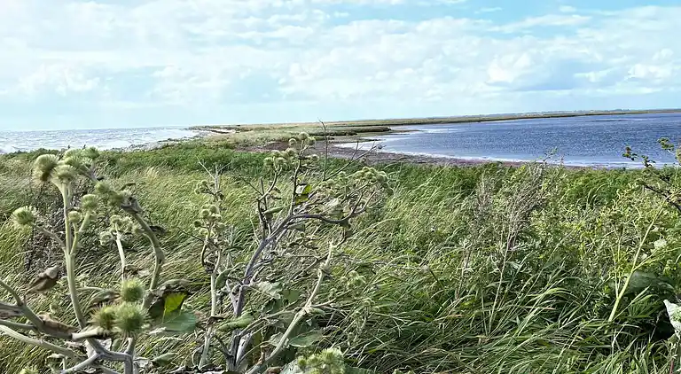 Holiday home in Ristinge