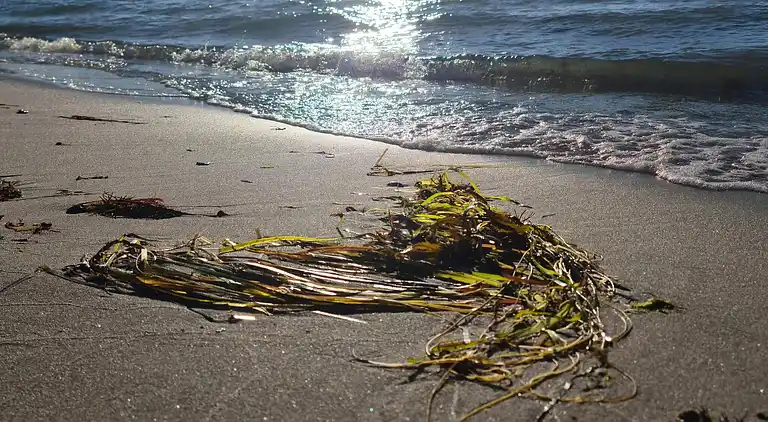 Holiday home in Asnæs