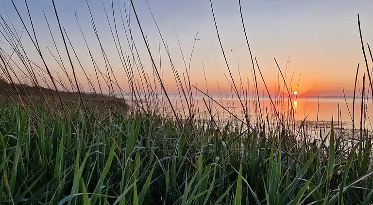 Holiday home in Varde