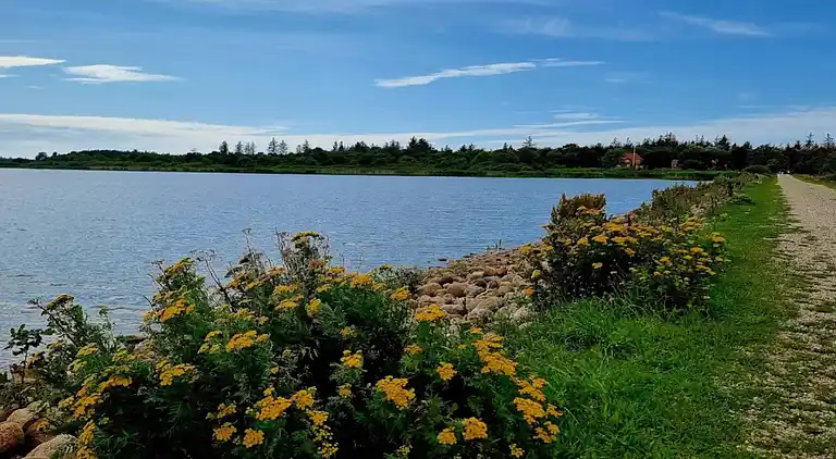 Holiday home in Varde