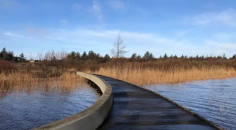 Holiday home in Varde