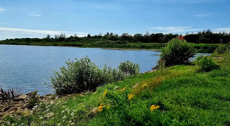 Holiday home in Varde