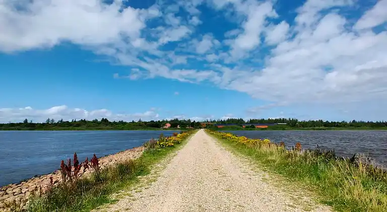 Holiday home in Varde