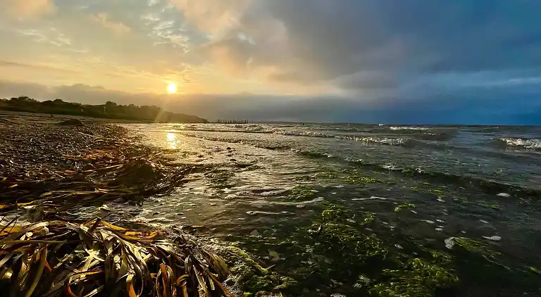 Holiday home in Roslev