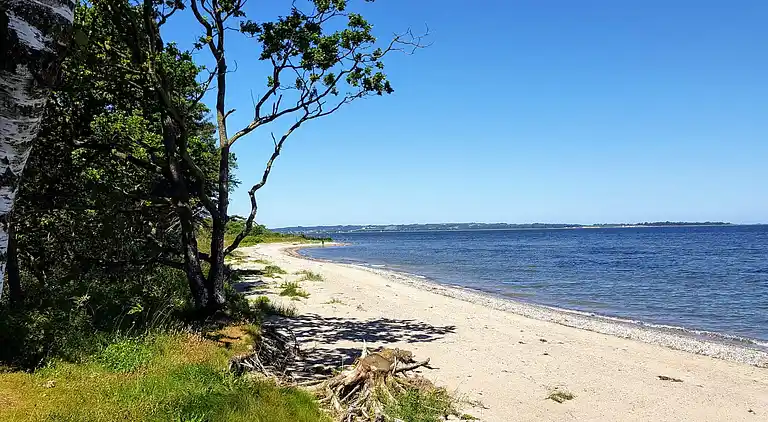 Holiday home in Roslev