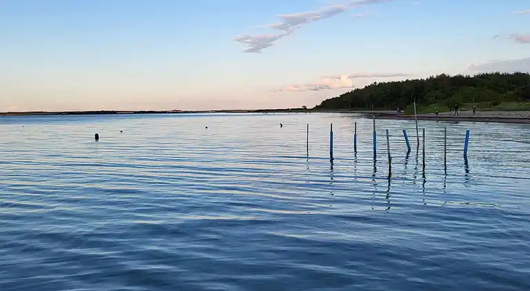 Holiday home in Roslev