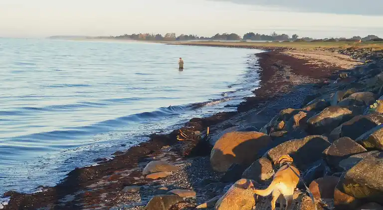 Holiday home in Rødby