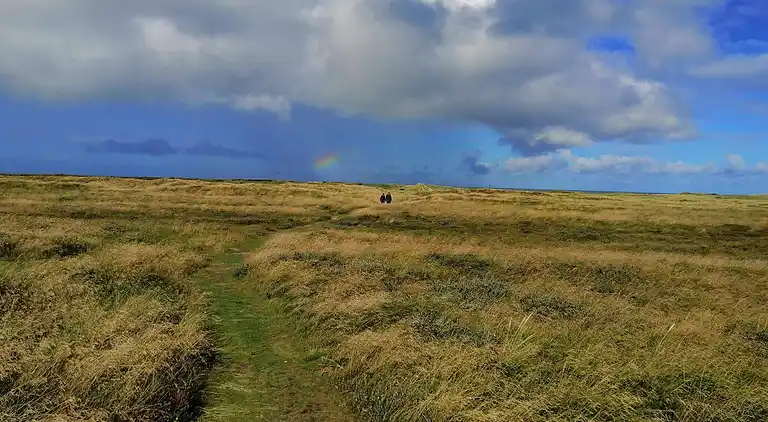 Vakantiehuis in Hanstholm