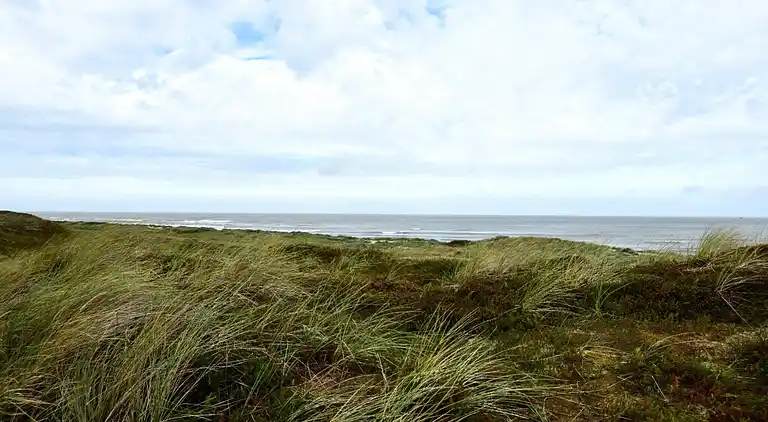 Vakantiehuis in Hanstholm