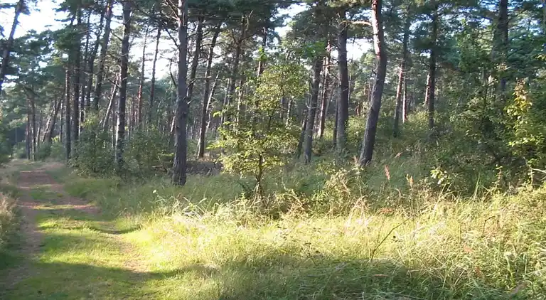 Semesterbostad i Væggerløse