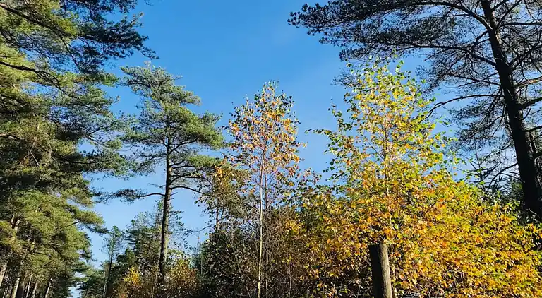 Casa vacanze in Fjerritslev