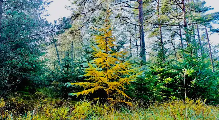 Casa vacanze in Fjerritslev