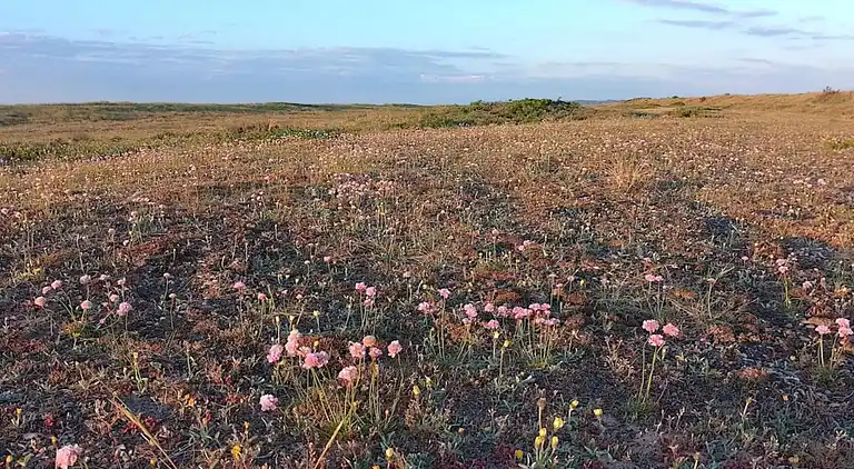 Casa vacanze in Fjerritslev