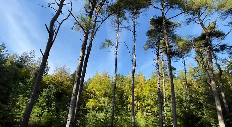 Sommerhus i Fjerritslev