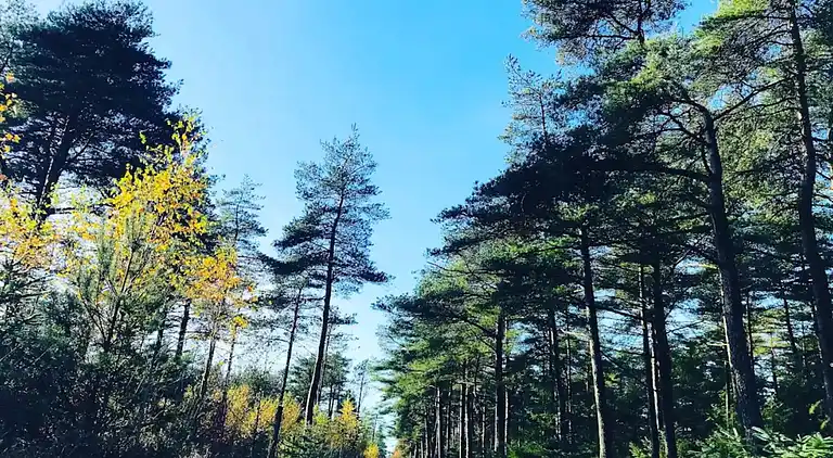 Sommerhus i Fjerritslev