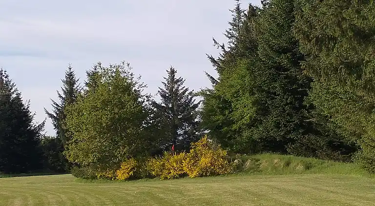 Holiday home in Branderup J