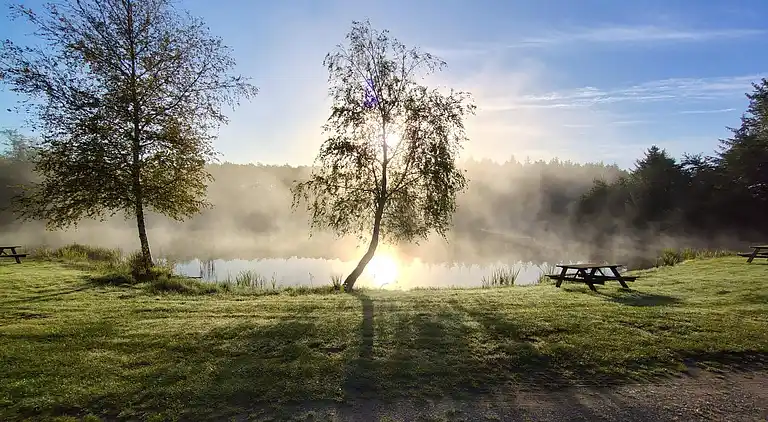 Holiday home in Branderup J