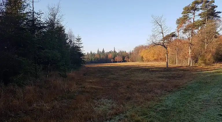 Holiday home in Branderup J