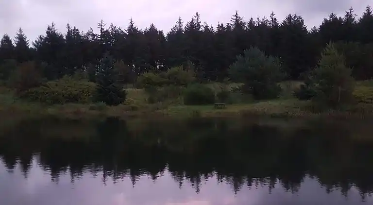 Holiday home in Branderup J