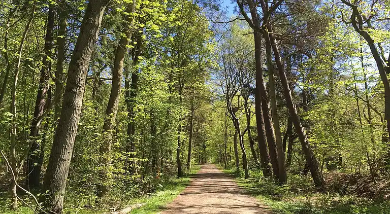 Holiday home in Gribskov